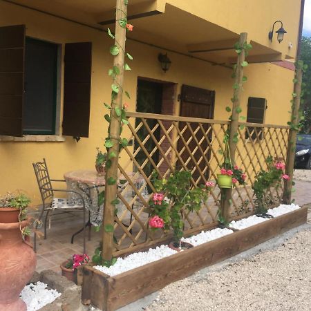 Agriturismo Fattoria Del Colle Iesi Ngoại thất bức ảnh