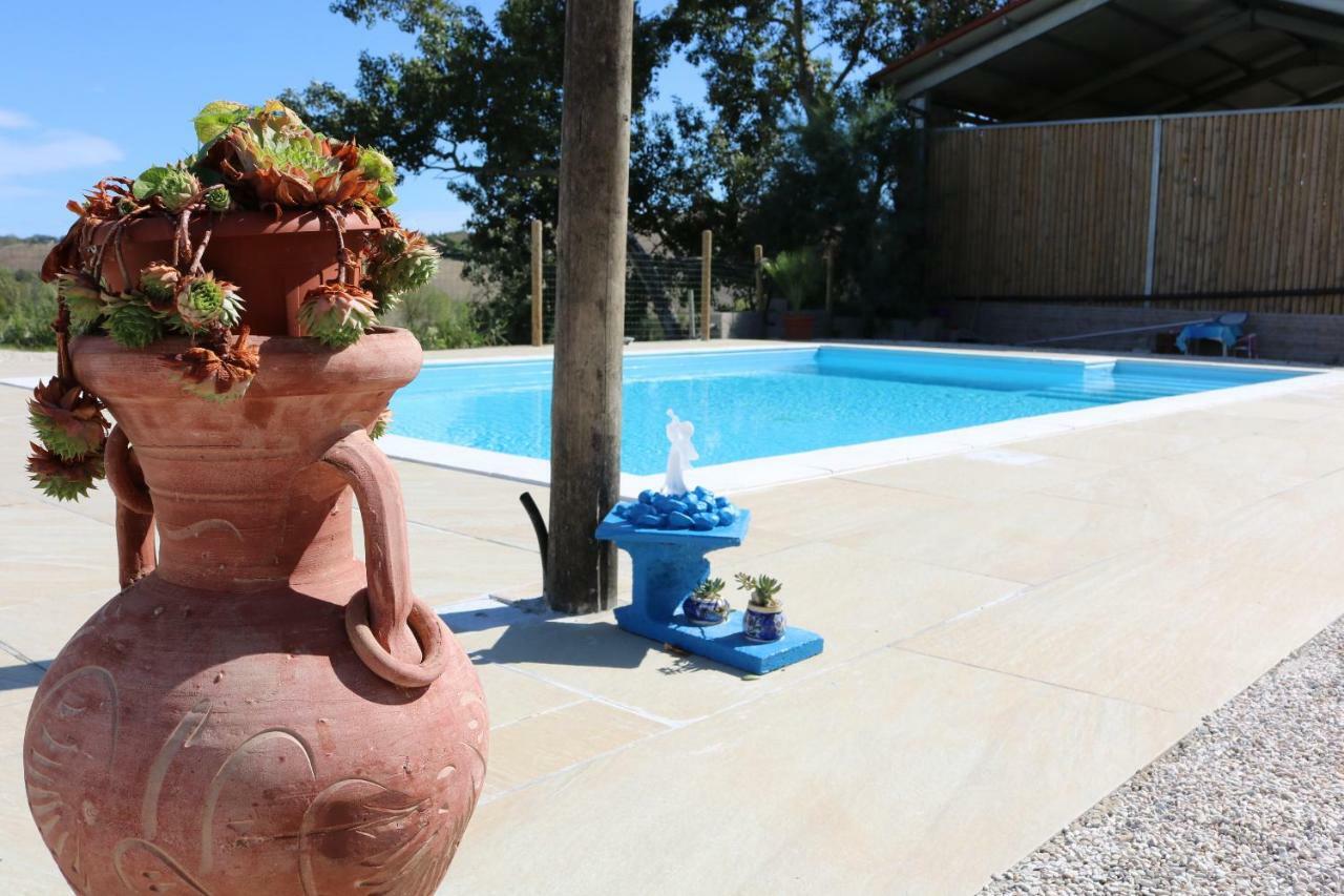 Agriturismo Fattoria Del Colle Iesi Ngoại thất bức ảnh