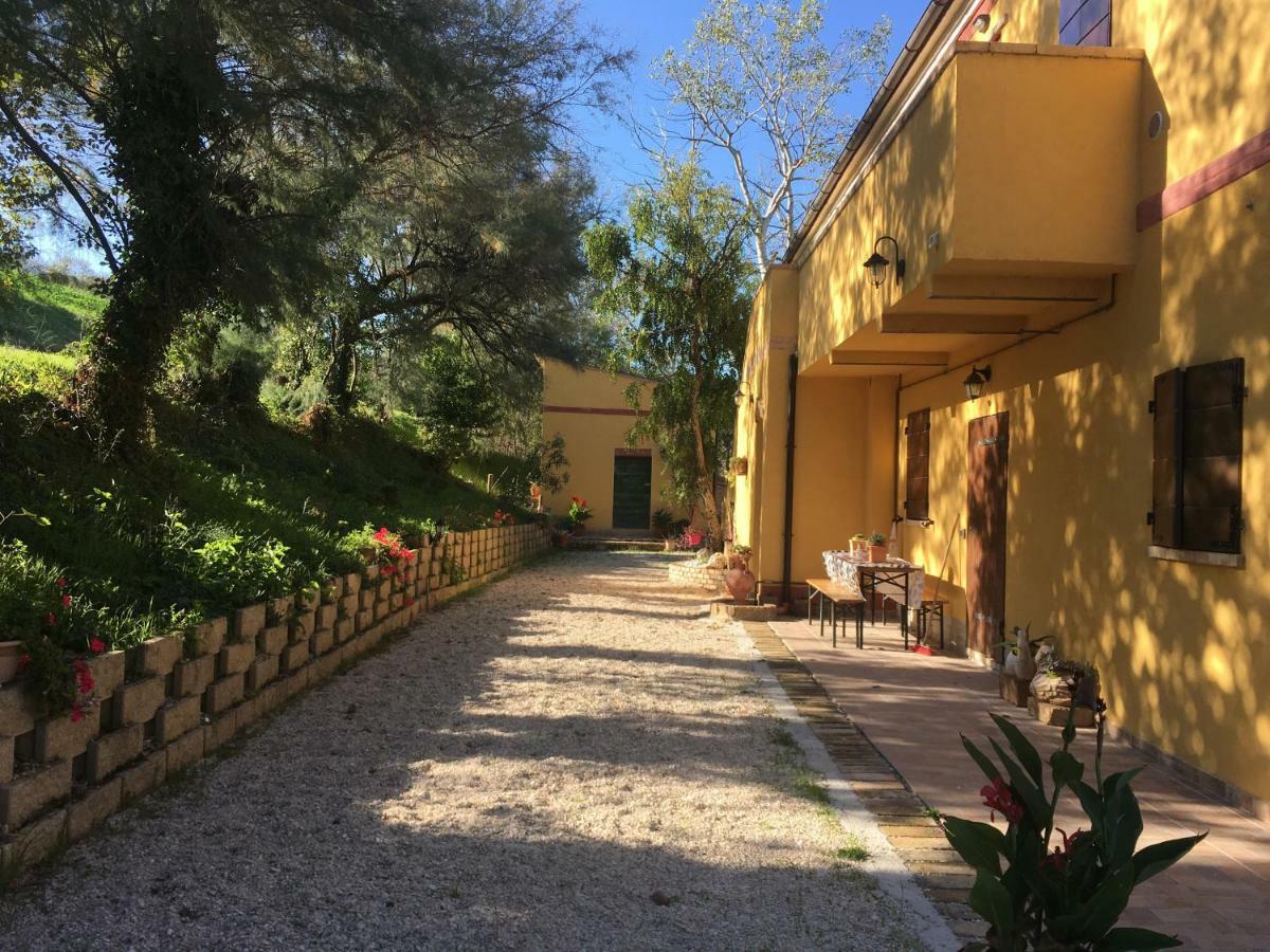 Agriturismo Fattoria Del Colle Iesi Ngoại thất bức ảnh