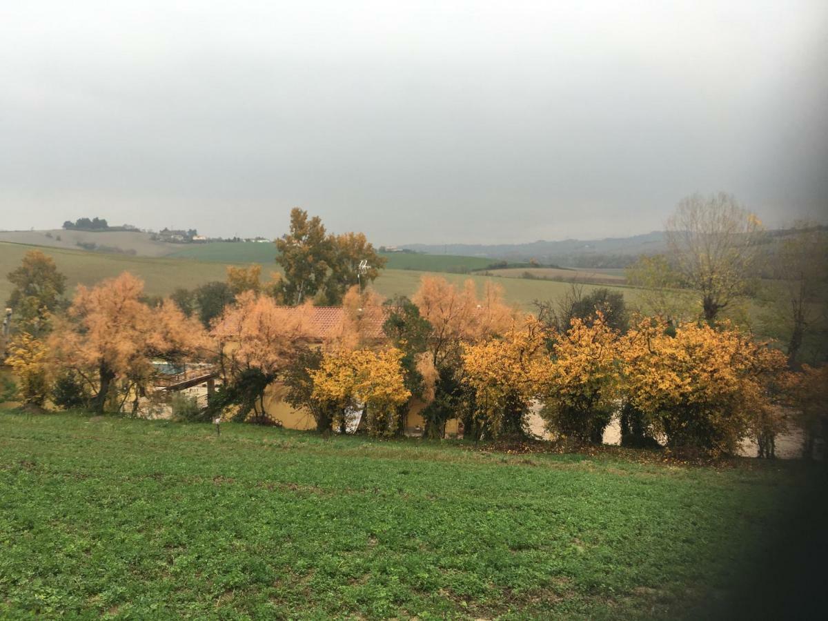 Agriturismo Fattoria Del Colle Iesi Ngoại thất bức ảnh