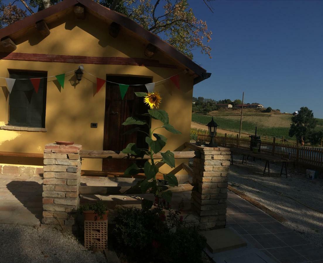Agriturismo Fattoria Del Colle Iesi Ngoại thất bức ảnh