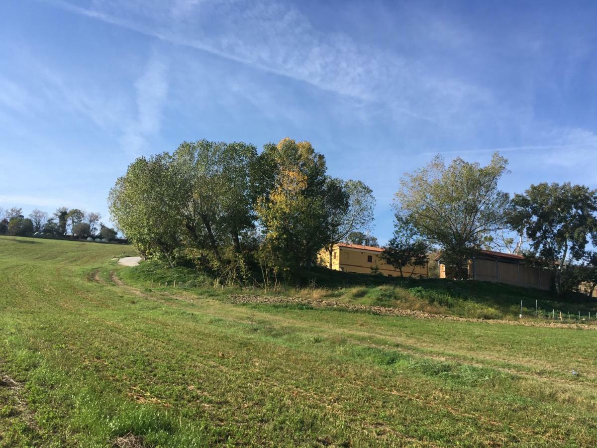 Agriturismo Fattoria Del Colle Iesi Ngoại thất bức ảnh