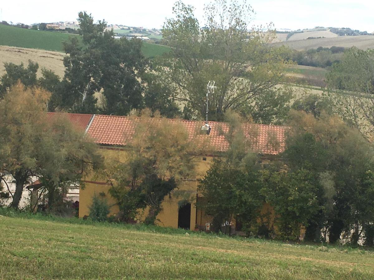 Agriturismo Fattoria Del Colle Iesi Ngoại thất bức ảnh