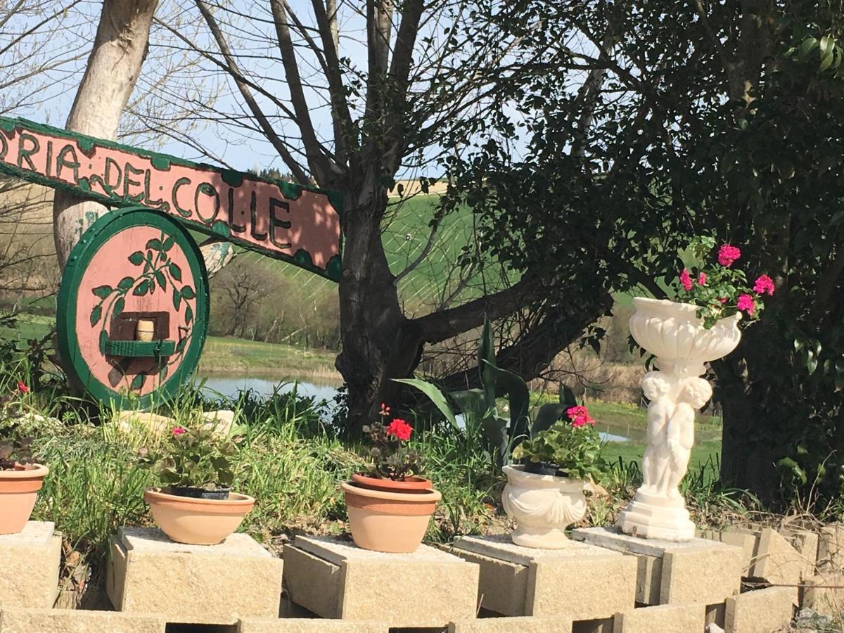 Agriturismo Fattoria Del Colle Iesi Ngoại thất bức ảnh