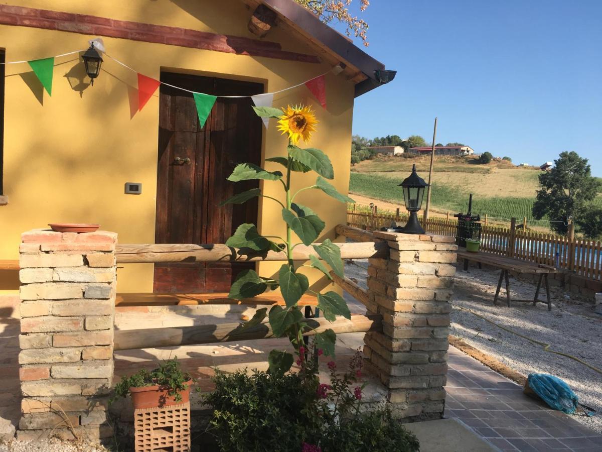 Agriturismo Fattoria Del Colle Iesi Ngoại thất bức ảnh