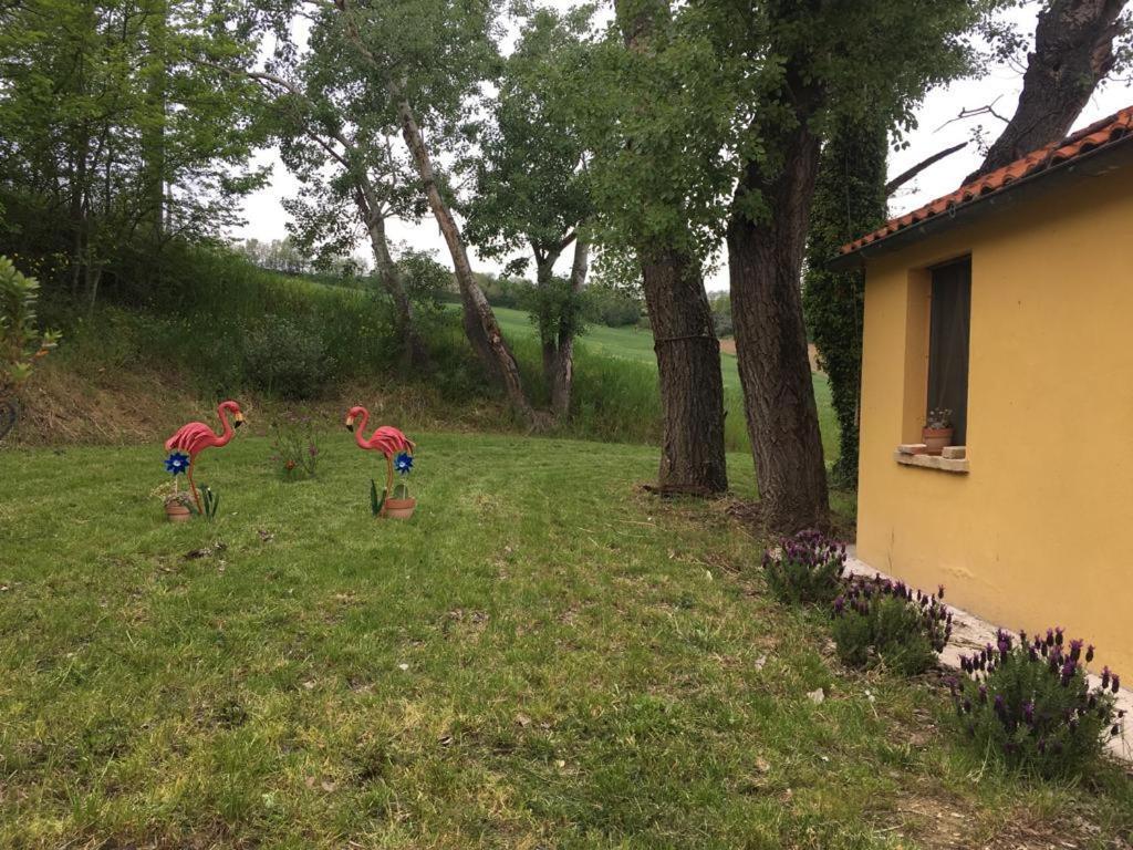 Agriturismo Fattoria Del Colle Iesi Ngoại thất bức ảnh