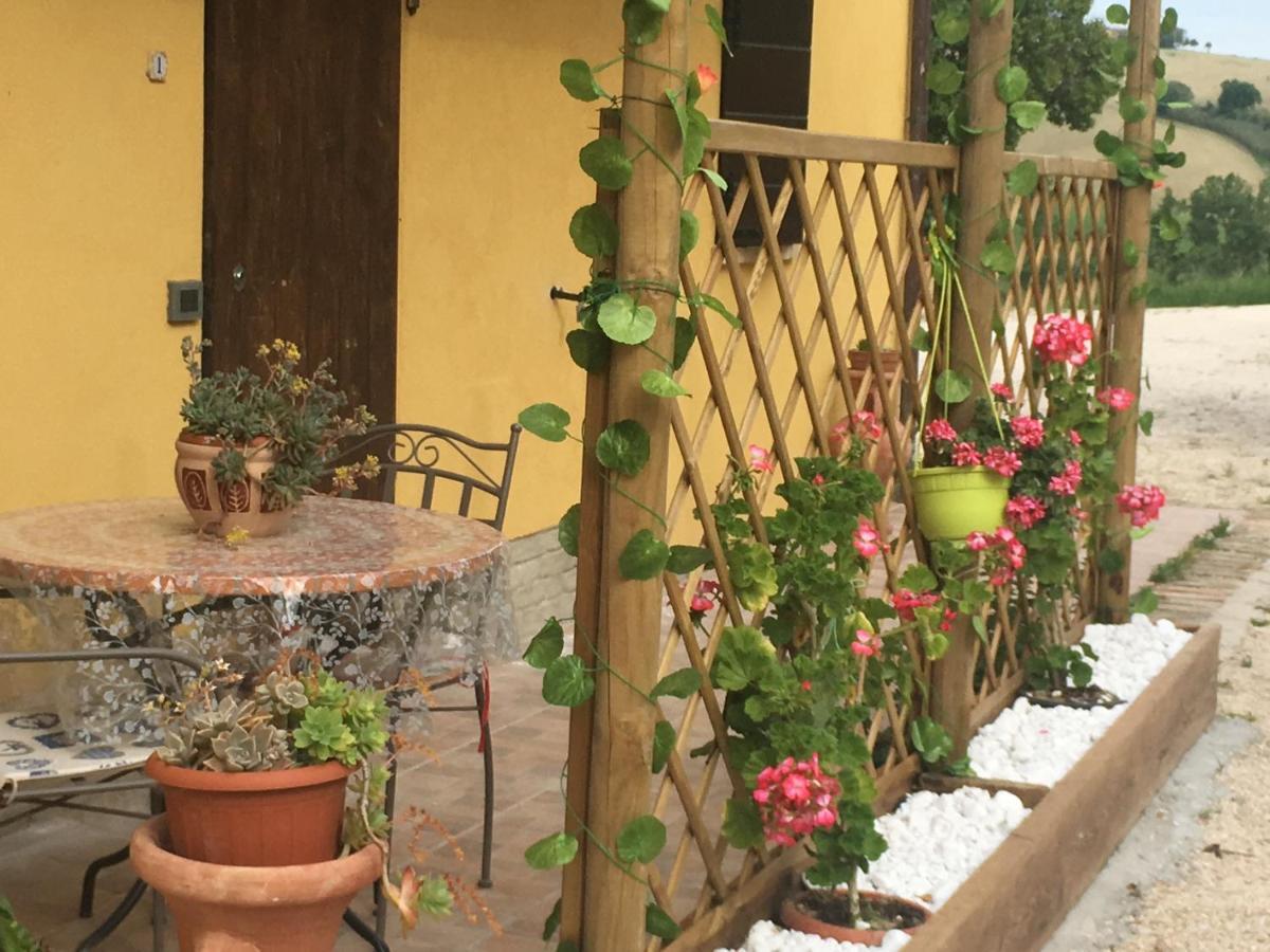 Agriturismo Fattoria Del Colle Iesi Ngoại thất bức ảnh