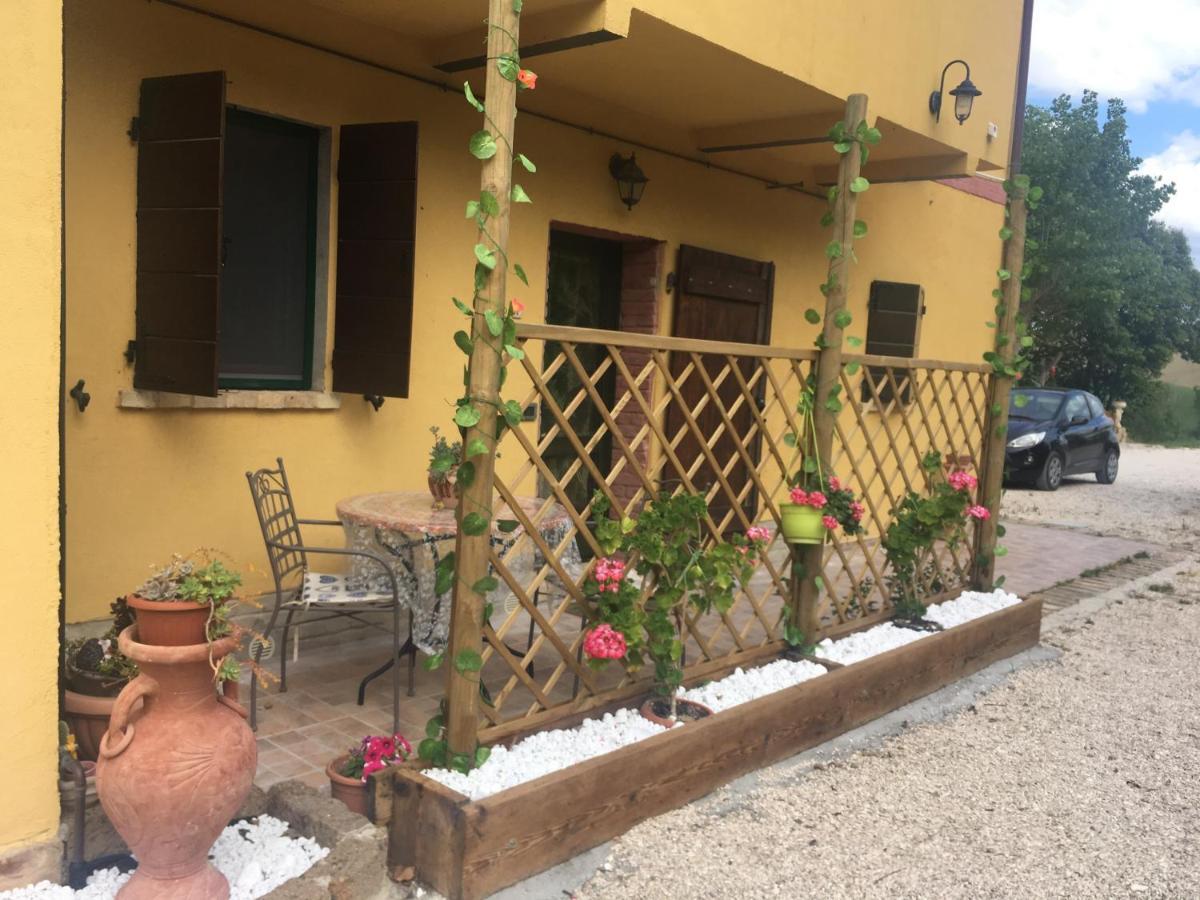 Agriturismo Fattoria Del Colle Iesi Ngoại thất bức ảnh
