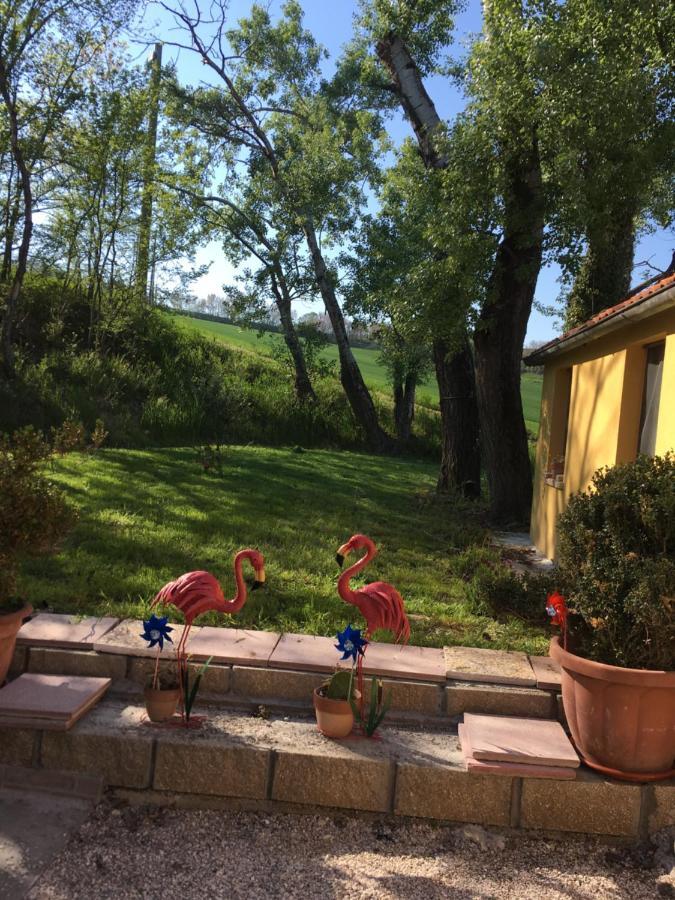 Agriturismo Fattoria Del Colle Iesi Ngoại thất bức ảnh